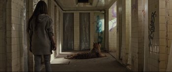 Movie still from “Tigers Are Not Afraid” (2017), directed by Issa López – A tiger laying on the ground in a room; Wide shot, Low angle