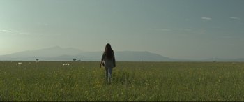 Movie still from “Tigers Are Not Afraid” (2017), directed by Issa López – A woman walking through a field of flowers; Extreme Wide shot, Low angle
