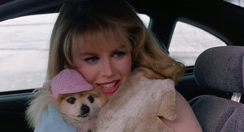 Movie still from “To Die For” (1995), directed by Gus Van Sant – A woman holding a dog in her arms in the back of a car; Close Up shot, High angle
