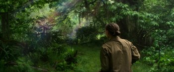 Movie still from “Annihilation” (2018), directed by Alex Garland – A woman standing in the middle of a lush green forest; Wide shot, Over the shoulder angle
