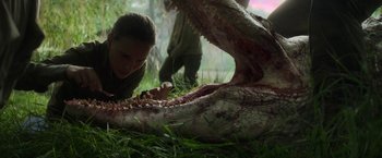 Movie still from “Annihilation” (2018), directed by Alex Garland – A woman looking down at an alligator in the grass; Close Up shot, Low angle