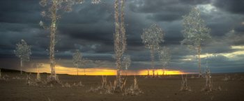 Movie still from “Annihilation” (2018), directed by Alex Garland – The sun is setting over a field with trees; Extreme Wide shot, High angle