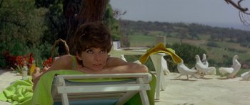 Movie still from “Two for the Road” (1967), directed by Stanley Donen – A woman sitting in a lawn chair on a sunny day; Medium shot, High angle