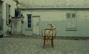 Movie still from “Ulysse” (1983), directed by Agnès Varda – A goat sitting on a chair in front of a building; Wide shot, High angle