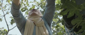 Movie still from “Under the Fig Trees” (2021), directed by Erige Sehiri – A person in a scarf reaching up into a tree to pick leaves; Medium shot, Low angle