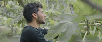 Movie still from “Under the Fig Trees” (2021), directed by Erige Sehiri – A man in black shirt looking at a tree; Close Up shot, Low angle