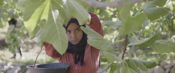 Movie still from “Under the Fig Trees” (2021), directed by Erige Sehiri – A woman in a red shirt and a black head scarf; Medium shot, Low angle