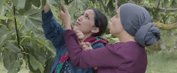 Movie still from “Under the Fig Trees” (2021), directed by Erige Sehiri – Two women are looking up at a tree; Medium shot, Low angle
