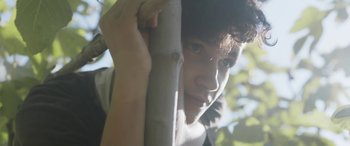 Movie still from “Under the Fig Trees” (2021), directed by Erige Sehiri – A young boy holding onto a bamboo pole; Extreme Close Up shot, Low angle