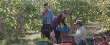 Movie still from “Under the Fig Trees” (2021), directed by Erige Sehiri – A group of people standing next to each other near crates; Wide shot, Low angle