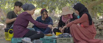 Movie still from “Under the Fig Trees” (2021), directed by Erige Sehiri – A group of women sitting around a picnic table; Medium shot, Over the shoulder angle