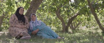 Movie still from “Under the Fig Trees” (2021), directed by Erige Sehiri – A woman in a hijab is laying in the grass; Wide shot, Low angle