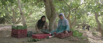Movie still from “Under the Fig Trees” (2021), directed by Erige Sehiri – A couple of women sitting on the ground under a tree; Wide shot, High angle