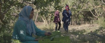 Movie still from “Under the Fig Trees” (2021), directed by Erige Sehiri – A group of people walking through a forest; Wide shot, Low angle