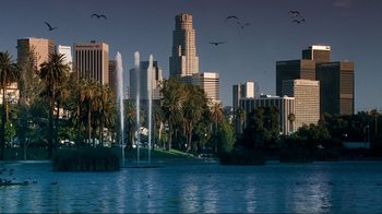 Movie still from “Valentine's Day” (2010), directed by Garry Marshall – Birds flying over a large body of water with palm trees in the foreground; Extreme Wide shot, High angle