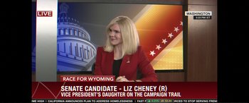 Movie still from “Vice” (2018), directed by Adam McKay – A woman is sitting in front of a television; Medium shot, Over the shoulder angle