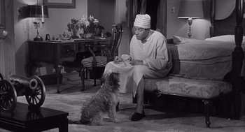 Movie still from “Visit to a Small Planet” (1960), directed by Norman Taurog – A woman sitting on a couch next to a small dog; Wide shot, High angle