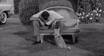 Movie still from “Visit to a Small Planet” (1960), directed by Norman Taurog – A man sitting on a chair next to an orange cat; Medium shot, High angle