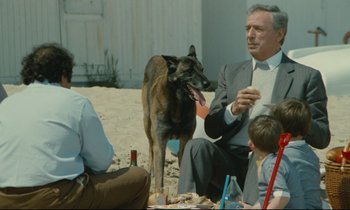 Movie still from “Waiter!” (1983), directed by Claude Sautet – A man in a suit sitting next to a dog on the beach; Medium shot, Over the shoulder angle