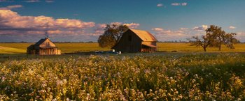 Movie still from “Walk Hard: The Dewey Cox Story” (2007), directed by Jake Kasdan – An old barn sits in the middle of a field of flowers; Extreme Wide shot, Low angle