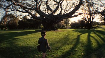 Movie still from “Walkabout” (1971), directed by Nicolas Roeg – A young boy is standing in front of a large tree; Wide shot, Low angle