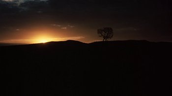 Movie still from “Walkabout” (1971), directed by Nicolas Roeg – A lone tree on a hill at sunset; Extreme Wide shot, Low angle
