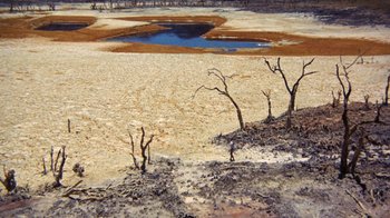 Movie still from “Walkabout” (1971), directed by Nicolas Roeg – A barren landscape with trees in the foreground and a pond in the background; Extreme Wide shot, High angle