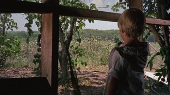 Movie still from “Walkabout” (1971), directed by Nicolas Roeg – A young boy looking out of a window at a field; Wide shot, Over the shoulder angle