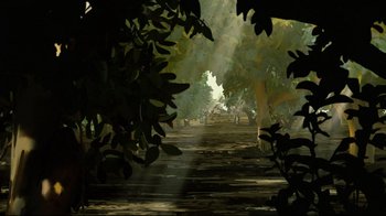 Movie still from “Waltz with Bashir” (2008), directed by Ari Folman – A view of trees and a path in the distance; Extreme Wide shot, High angle