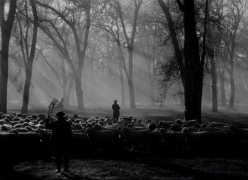 Movie still from “Waterloo Bridge” (1940), directed by Mervyn LeRoy – A man herds a herd of sheep in a field; Extreme Wide shot, Low angle