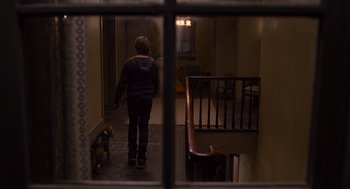 Movie still from “We Bought a Zoo” (2011), directed by Cameron Crowe – A person walking down a hallway with a dog; Wide shot, Over the shoulder angle