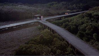 Movie still from “Weekend at Bernie's” (1989), directed by Ted Kotcheff – A person walking across a bridge over a river; Extreme Wide shot, High angle
