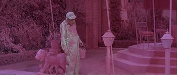 Movie still from “What a Way to Go!” (1964), directed by J. Lee Thompson – An old man in a white hat is holding a paint bucket; Wide shot, High angle