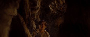 Movie still from “Where the Wild Things Are” (2009), directed by Spike Jonze – A young boy standing in front of a bunch of trees; Close Up shot, Low angle