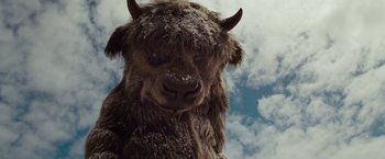 Movie still from “Where the Wild Things Are” (2009), directed by Spike Jonze – The face of a stuffed animal bison; Extreme Close Up shot, Low angle