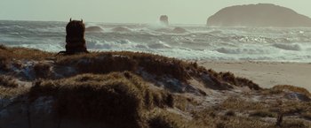 Movie still from “Where the Wild Things Are” (2009), directed by Spike Jonze – A view of the ocean from the beach; Extreme Wide shot, Low angle