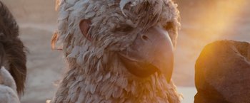 Movie still from “Where the Wild Things Are” (2009), directed by Spike Jonze – The head of an eagle; Extreme Close Up shot, Low angle