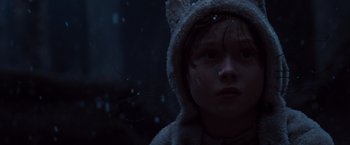 Movie still from “Where the Wild Things Are” (2009), directed by Spike Jonze – A young child wearing a cat hat in the dark; Close Up shot, Low angle