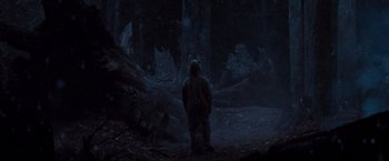 Movie still from “Where the Wild Things Are” (2009), directed by Spike Jonze – A man standing in the woods at night; Wide shot, Low angle