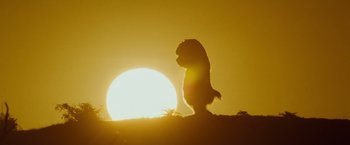 Movie still from “Where the Wild Things Are” (2009), directed by Spike Jonze – A dog standing in front of the setting sun; Wide shot, Low angle
