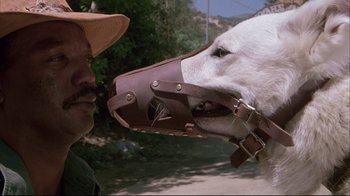 Movie still from “White Dog” (1982), directed by Samuel Fuller – A man and a dog wearing muzzles on their faces; Close Up shot, Low angle