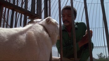 Movie still from “White Dog” (1982), directed by Samuel Fuller – A man looking at a cat through a fence; Close Up shot, Low angle