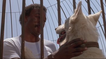 A man petting a white dog in a cage