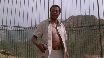 Movie still from “White Dog” (1982), directed by Samuel Fuller – A man standing in front of a fence holding a cell phone; Medium shot, Low angle