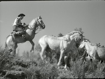 Movie still from “White Mane” (1953), directed by Albert Lamorisse – A man on a horse chasing a herd of horses; Wide shot, Low angle