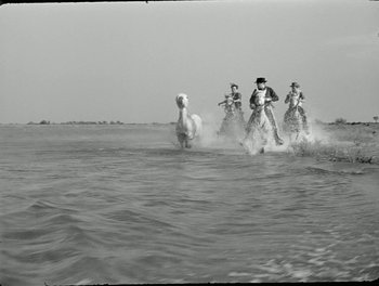 Movie still from “White Mane” (1953), directed by Albert Lamorisse – A group of people riding horses through the water; Wide shot, Low angle