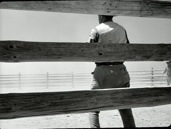 Movie still from “White Mane” (1953), directed by Albert Lamorisse – A man standing in front of a wooden fence on a beach; Wide shot, Low angle