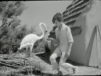 Movie still from “White Mane” (1953), directed by Albert Lamorisse – A young boy is looking at a flamingo; Medium shot, Low angle