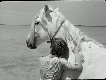 Movie still from “White Mane” (1953), directed by Albert Lamorisse – A man standing next to a white horse in the water; Medium shot, High angle
