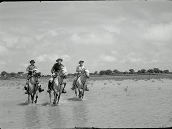 Movie still from “White Mane” (1953), directed by Albert Lamorisse – A group of men riding horses through shallow water; Wide shot, Low angle